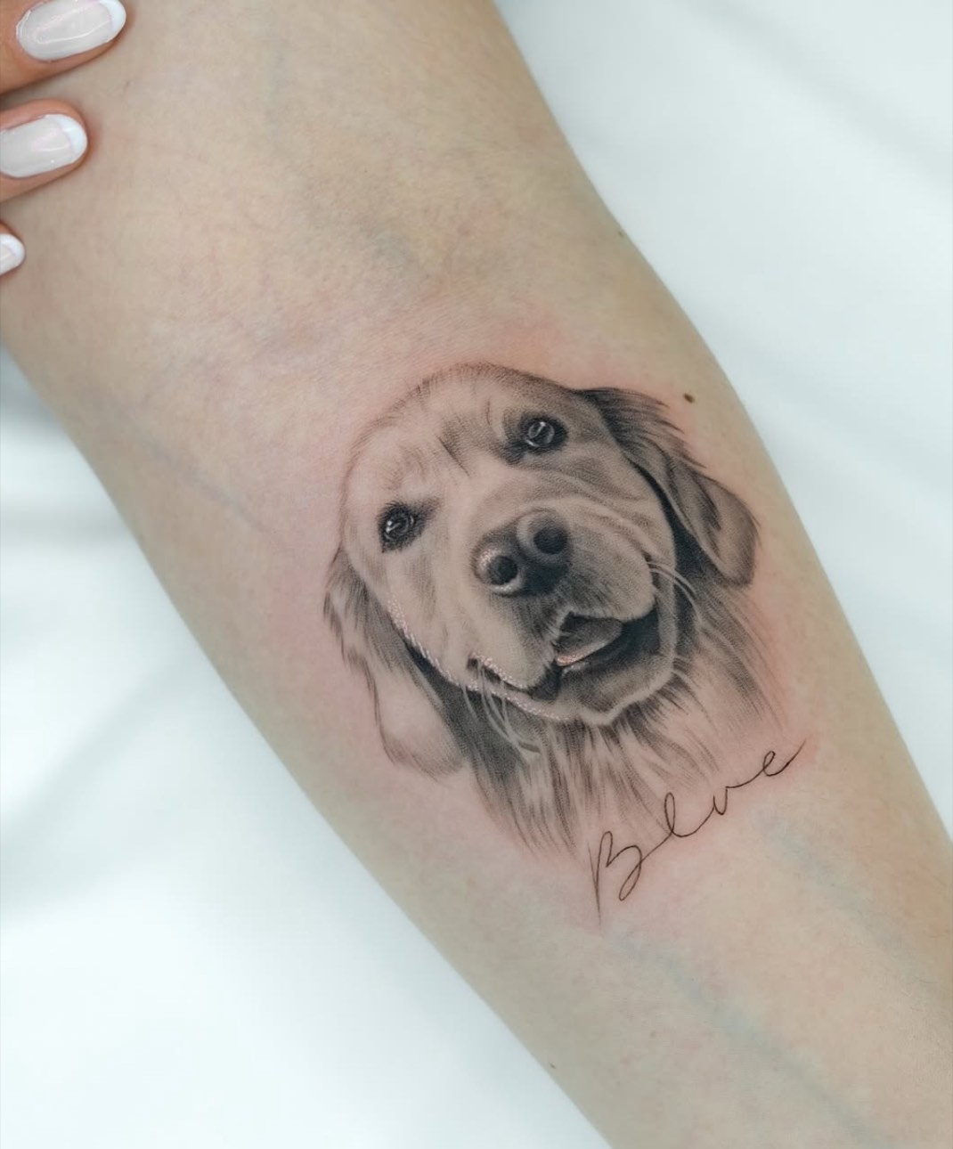 Le Krib tattoo gallery artwork